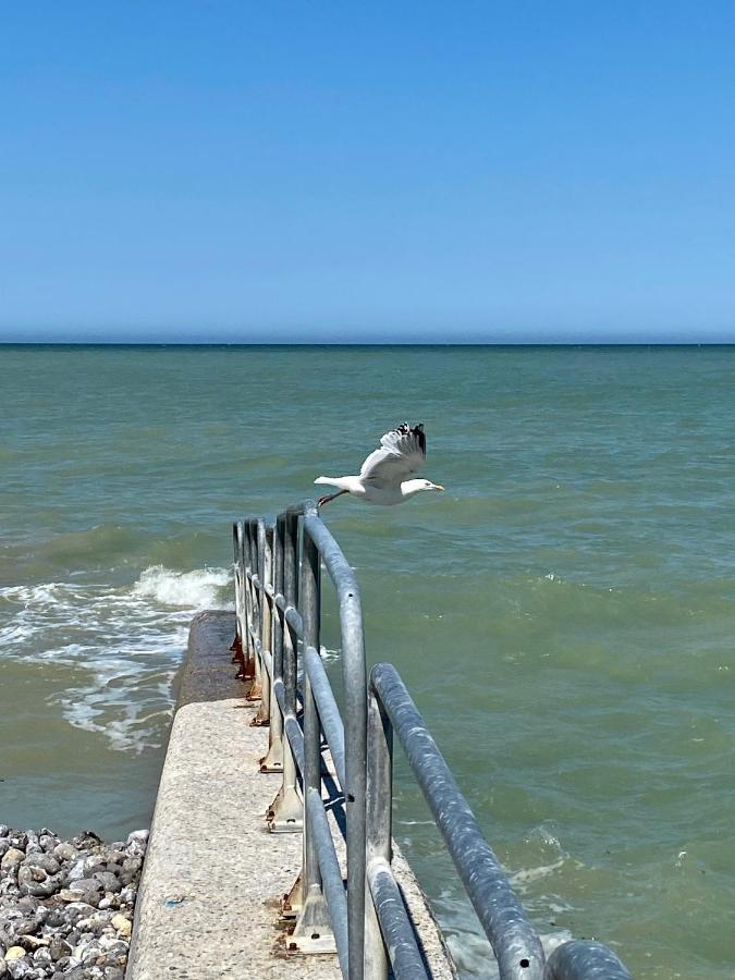 Les Cygnes De Criel-Sur-Mer Bagian luar foto